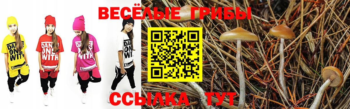 Луга  Галлюциногенные грибы Magic Shrooms  закладки  Псилоцибиновые грибы MAGIC MUSHROOMS  Вход с VPN 